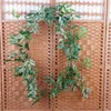 Guirlande de feuilles de saule vert de lierre artificiel, 170cm, plante de vigne, faux feuillage, fleurs, décoration de maison, fleur en soie, ficelle en rotin