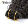 Kręcony klip w przedłużeniu ludzkie włosy klipsy ins pełne głowę dla czarnych kobiet Brazylijskie Remy Hair Naturalny kolor 10pcs z 21.20G/zestaw 12-30 cali Sprzedaż