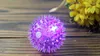 Hot Sale Mjuk Gummi Flash Ball Pet Hedgehog Bouncing Ball Flash Barbed Ball LED Flash Pet Interactive Toys DHL SN681