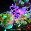 Twinkle Fairy Light Decoration LED Lights 5M50LEDs Battery powered Christmas Lights for Party Garden Crafts(RGB/Warm light)