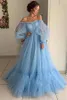 2020 Sexy Sky Blue Pink A Line Evening Jurken Wears Off Shoulder Tule Illusion Lange mouwen Open Back Plus Size Party Prom Gowns3302050