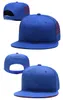 Expédition-2019 gratuit New Chicago Snapback Baseball Chapeau réglable