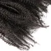 Vmae Braziliaans Natuurlijk zwart 12 tot 26 inch 4b Afro kinky krullende 120 g paarsetail cuticle uitgelijnde maagdelijk menselijk haar trekspanning paardenstaart