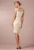 فستان أم العروس بلون الشمبانيا 2020 قصير من الدانتيل للحفلات الأم فستان رسمي مقاس كبير مصنوع حسب الطلب