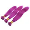 Malaysian Purple Human Hair Weaves Extensions Silky Straight Purple Colored Virgin Remy Human Hair Bundles Deals 3Pcs Lot Double W3927188