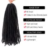 3 Packs Marley Vlechten Haar Afro Vlecht Haar Afro Kinkys Haar Havana Vlechten Synthetisch Gehaakt Haar18quot1B272459825