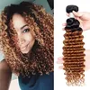 9A Grade Brazilian Virgin Hair 1B/30 Deep Curly Wave 3/4 Bundles 100% Unprocessed Human Hair Deep Wave Natural Ombre Color