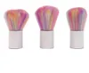 Arcobaleno Pennelli Nail per il gel UV acrilico di arte del chiodo della polvere Cleaner Spazzola per unghie trucco polvere spazzola Foundation Brush