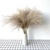 8pcs10pcs20 stks echte gedroogde kleine pampas gras bruiloft bloem bos natuurlijke planten decor home decor gedroogde bloemen 9538881