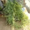 10 pcs/lot artificiel herbe verte simulation de plante coque en plastique herbe calla vert vigne mur monté plante décorative vigne fleur plante