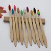 Brosse à dents avec manche en bambou naturel, arc-en-ciel, poils souples colorés, brosse à dents en bambou, 10 couleurs avec boîte, qualité supérieure LX1991