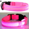 Collari per cani Guinzagli LED di sicurezza Collare per animali domestici illuminato ricaricabile USB Collare luminoso lampeggiante in nylon regolabile Cucciolo Forniture anti-smarrimento