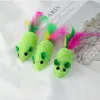 Grünes geflochtenes Mäusespielzeug mit künstlichen Federn und lustigen Geräuschen. Lustiges Katzenspielzeug, Katzenzubehör, kratzfestes Tierspielzeug T2I5929
