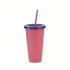 Bottles Changing Plastic Cup Temperature Plastic Color Water Cold Colorful Color Straws Cup Mug Water With Changing Change LJJK21 1649159