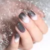 Verloop Shiny Nail Glitter Set Laser Sparkly Manicure Nail Art Chrome Pigment Silver DIY Art Decoratie Kit