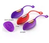 Control remoto Huevos vibrantes Recargable 12 Velocidades Love Jump Egg Punto G Vibrador anal para mujeres Juguetes sexuales Adultos Erótico Mango Tail Butt Plug