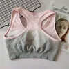 Seamless Sports Bra Shockproof Sexy Gym Bra Women Fitness Sport Push Up Sexy Women Tops Sports