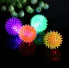 Hot Sale Mjuk Gummi Flash Ball Pet Hedgehog Bouncing Ball Flash Barbed Ball LED Flash Pet Interactive Toys DHL SN681