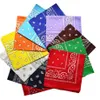 55 * 55cm Paisley Bandana Double côté imprimé Paisley Head Wrapbboung Magic Band Band Hip Hop Histband Hipcarf Kerchief Ljja2940-14