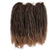 Nouveau style noir femmes039s cheveux crochet marley tresse afro crépus Marley cheveux styles noir long crépus bouclés perruques2822501