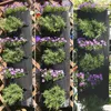 Nieuw Ontwerp Verticaal Opknoping Garden Planter Bloem Potten Lay-out Waterdichte Muur Opknoping Flowerpot Bag Perfecte oplossing