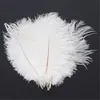 10 stks witte struisvogel veerpluim 20-25 cm voor bruiloft middelpunt bruiloft decor feest decor aanbod feative decor