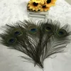 Naturalne Peacock Feather 25-30cm Home Wedding Party Decoration Supplies Elegancki Peacock Ogon Feather Etap Performance Prop Feather BH2152 ZX