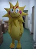 2019 Factory Outlets hot sun boy Fancy Dress Cartoon Adult Animal Mascot Costume free shipping