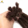 Dreadlocks capelli umani marrone nero Capelli all'uncinetto Dreadlock stile reggae stile hip-hop per uomo donna 10 pezzi bundle2689526