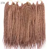 Crochet Box Braids Synthétique Tressage Cheveux 24 pouces Ombre Couleur 3X Box Braids