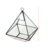 Fat Pyramid Hanging Terrarium Geometric Succulent Planter Micro Landscape Greenhouse For Fern Moss Glass Display Vase Black Gold