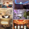 Waterdichte IP65 RGB LED Strip 60leds Kerstmuzieklampen DC 12V Remote Controller Voeding