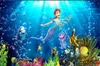 The Beautiful Underwater World Of The Wall paper Has A Beautiful Mermaid. Customize Your Favorite High-End Wallpaper.