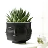 Keramisk ansikte blommig vas modern multi-face cactus saftig planter potten kryddor skål vit svart guld