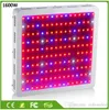 Full Spectrum LED Grow Light Double Chip Led Plant Lamp 600W 800W 1000W 1200W 1600W Indoor greenhouse growing garden flowering hydroponic l