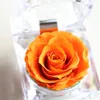 Party Supplies Handmade Preserved Fresh Rose Upscale Immortal Flowers Gifts for Mother Day Valentine Day Wedding