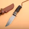 Högkvalitativ utomhusöverlevnad Rak jaktkniv VG10 Damaskus Stål Drop Point Blade Ebony Handtag Fasta bladknivar