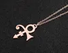 30 kleine prins gitaar Memorial liefdessymbool muziek ketting Le Petit Prince Rogers Nelson artiest zanger ketting voor vrouwen