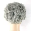 Perruques de cheveux synthétiques SW-WIG-01 coupe courte BOBO vague gris argent Simulation perruque de cheveux humains perruques de cheveux humains Pelucas WIG-01