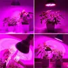 E27 LED Grow Light 6W 10W 30W 50W 80W Full Spectrum LED-lampor 85-265V LED-glödlampor för inomhus trädgårdsväxter blomma blommor