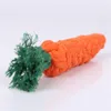 New Carrot Dog Toys Cat Pet Cotton يقلد مضفر حبل الحبل العظم العظم الأسنان مقاوم للأسنان لدغة ألعاب DC429