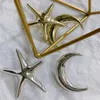Düzensiz Stil Denizyıldızı Ay Şekli Küpe Kadınlar Metal Stud Küpe Altın Gümüş Moda Takı Hediye Aksesuar