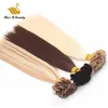 브라운 블랙 금발 컬러 HairExtensions 손 묶인 머리 씨실 확장 고품질 큐티클 정렬 Virgin HumanHair 200gram