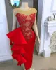 2020 Arabic Aso Ebi Red Sexy Sheath Evening Dresses Lace Beaded Prom Dresses Sheer Neck Formal Party Second Reception Gowns ZJ258
