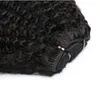 Indian Raw Virgin Hair Afro Kinky Curly Clip i hårförlängningar Naturliga färgklipp Hårprodukter 8-24 tum 120g