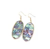 S935 Fashion Jewelry Oval Abalone Shell Earrings Leopard Dangle Earrings5125417