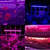 Gruby światła światła światła 12W lampa fito rozwijać światło rosnące światła dla roślin T5 fitolampy do sadzonek kwiatów rośliny