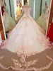 공 가운 공주 웨딩 드레스 3D 꽃 신부 가운 티에 지어진 스커트 공주 vestidos de novia quinceanera dresses