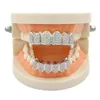 Dientes Grillz lujo hombres mujeres grado calidad Cubic Zirconia vampiro dientes tirantes moda callejera platino 18K oro Hip Hop Dental Gr261R