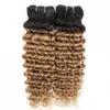 Ombre blondin lockigt hårbuntar med stängning 1b 27 djupvåg 4 buntar med 4x4 spetsar stängning brasilianska lockiga remy mänskliga hårförlängningar